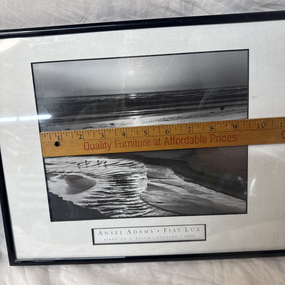 Ansel Adams Birds on a Beach Evening Framed Framed 1966 Photo 12x14 Wall Art VTG - Picture 11 of 15